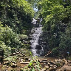 Reedy Branch Falls Trailhead