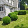 Photo of Sunrise Lawn Care