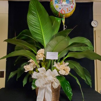 A Creation For You Florist - A beautiful plant for a wonderful person. - Florists Near Me - La Marque, Texas A Creation For You Florist - A beautiful plant for a wonderful person. - Florists Near Me - La Marque, Texas