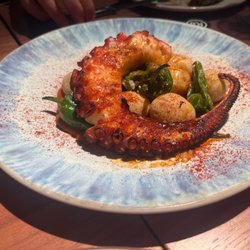 Terre - Grilled octopus /Pulpo a la plancha