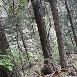La Luz Trail