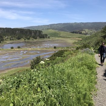 Estero Trail - Hiking Near Me - Point Reyes Station, California Estero Trail - Hiking Near Me - Point Reyes Station, California