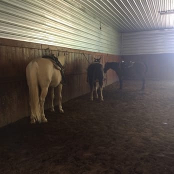 Sunny Acres Stables - Horseback Riding Near Me - Greenville, Indiana Sunny Acres Stables - Horseback Riding Near Me - Greenville, Indiana