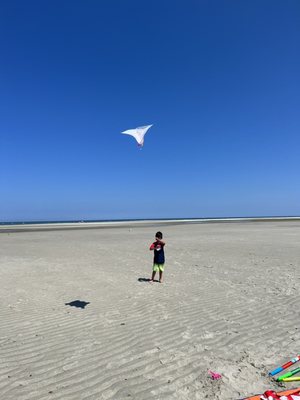 Chapin Memorial Beach by null