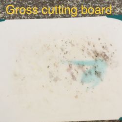 Sand 'N Sea Properties - More filthy kitchen