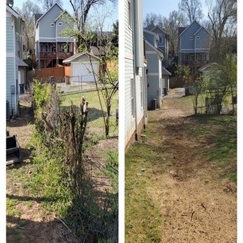 Jenkins Stump Removal - Tree Services Near Me - Lebanon, Tennessee Jenkins Stump Removal - Tree Services Near Me - Lebanon, Tennessee