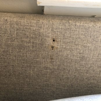 Cenla Moving & Delivery Services - Cigarette burns on my couch - Movers Near Me - Alexandria, Louisiana Cenla Moving & Delivery Services - Cigarette burns on my couch - Movers Near Me - Alexandria, Louisiana