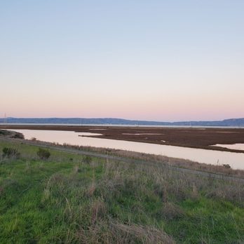 Adobe Creek Loop Trail - Views along the trail - Hiking Near Me - Palo Alto, California