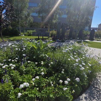 Hostetler Park - Parks Near Me - Anchorage, Alaska Hostetler Park - Parks Near Me - Anchorage, Alaska