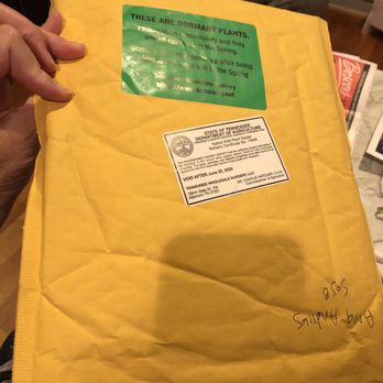 TN Nursery - Envelope they mailed plant in. - Nurseries & Gardening Near Me - Altamont, Tennessee