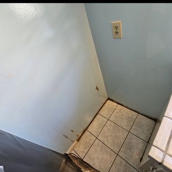 Amaya's Cleaners Maids - NEW - don't mind the wall the whole place is crumbling but LOOK at that floor! Magic - Home Cleaning Near Me Amaya's Cleaners Maids - NEW - don't mind the wall the whole place is crumbling but LOOK at that floor! Magic - Home Cleaning Near Me