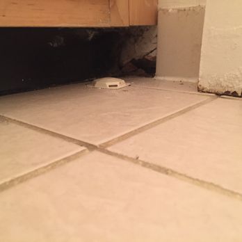 Studio Green - Bathroom under the sink. Insects ( large spiders etc.) constantly. Management did small patch after county office of inspections contacted. - University Housing Near Me - Newark, Delaware