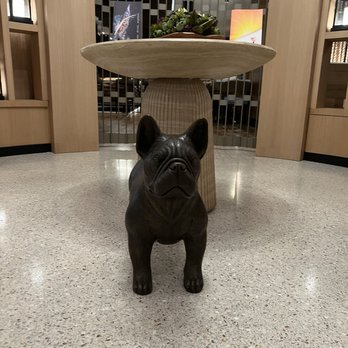 Drift - Opal Sol - Frenchie!!! - Seafood Near Me - Clearwater, Florida Drift - Opal Sol - Frenchie!!! - Seafood Near Me - Clearwater, Florida