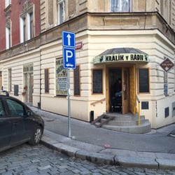 Králík v rádiu