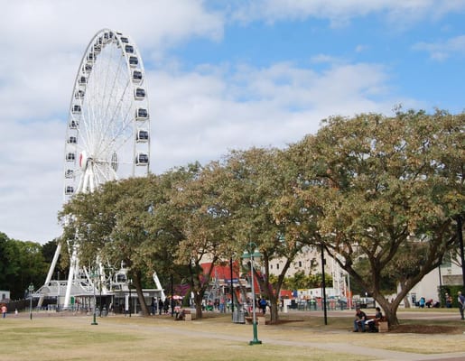The Wheel of Brisbane by null