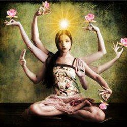lotus healing arts