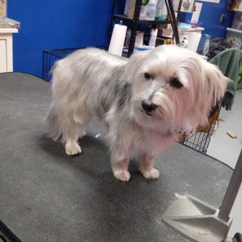Ohana Pets Spa - Miss Deedee - Pet Groomers Near Me - Angier, North Carolina Ohana Pets Spa - Miss Deedee - Pet Groomers Near Me - Angier, North Carolina