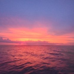 Captain Blues Dolphin Tours - Sunset photo from tour
