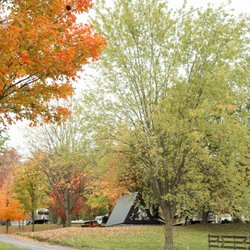 Scenic fall camping