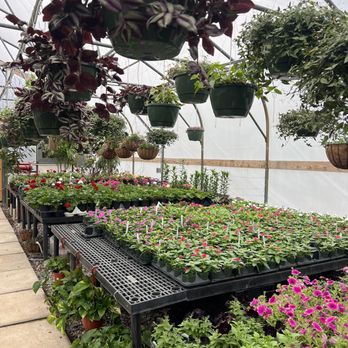 Soviero's Tri County Garden Center - Flower greenhouse - Landscaping Near Me - High Point, North Carolina Soviero's Tri County Garden Center - Flower greenhouse - Landscaping Near Me - High Point, North Carolina