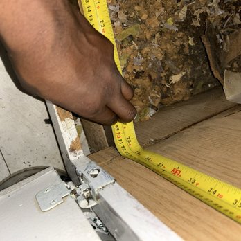 EIO Services - Pest Control Near Me - Brooklyn, New York EIO Services - Pest Control Near Me - Brooklyn, New York