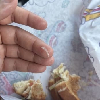 Wawa - Nail in sandwich - Fast Food Near Me - Clarksville, Indiana Wawa - Nail in sandwich - Fast Food Near Me - Clarksville, Indiana