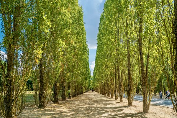 Petit Trianon by null