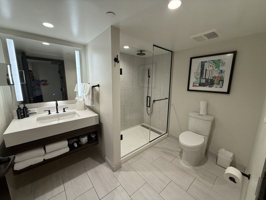 The Royal Sonesta San Juan by null