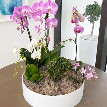 Plant Professionals - Landscaping Near Me - Miami, Florida