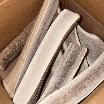 Michigan Antler Chews - Newest shipment! - Arts & Crafts Near Me Michigan Antler Chews - Newest shipment! - Arts & Crafts Near Me