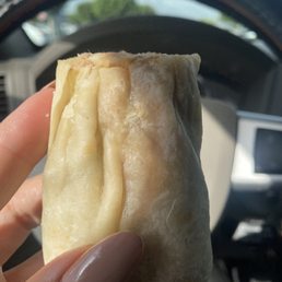 Salsa Verde Beef Burrito