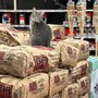 Photo of Fisher's Ace Hardware