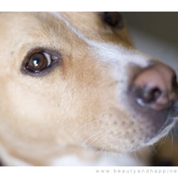 Ray Grasse Photography - Sample