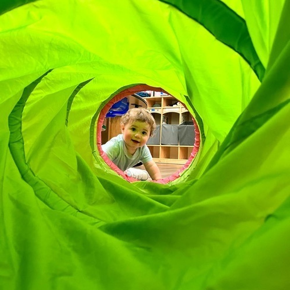 Whole Kid School - Child Care & Day Care Near Me - Menlo Park, California Whole Kid School - Child Care & Day Care Near Me - Menlo Park, California
