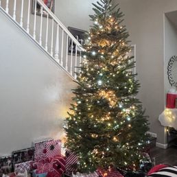 Christmas Tree Christmas Tree