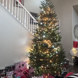 Frostys Village Christmas Trees - Christmas Tree