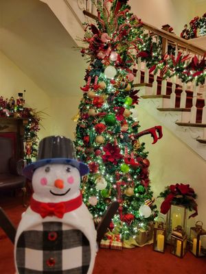 The Carolina Opry Theater by null