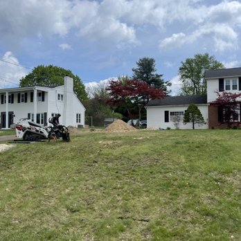 E.X.T Eagles Tree Maintenance - Oak stumps gone. - Tree Services Near Me - Mansfield, Ohio