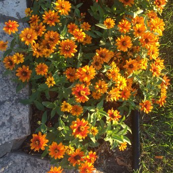 Java Joe's Cafe - Flowers outside - Breakfast & Brunch Near Me - Saint Ignace, Michigan