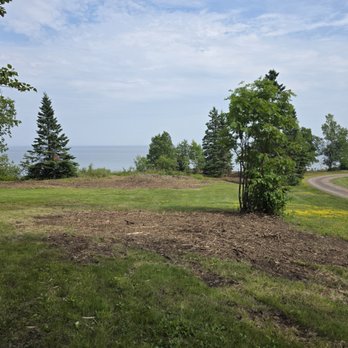 Precision Clearing Services - The resort owner wanted a large area of overgrown brush cleared to reopen the view to the lake. - Tree Services Near Me Precision Clearing Services - The resort owner wanted a large area of overgrown brush cleared to reopen the view to the lake. - Tree Services Near Me