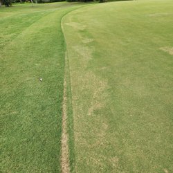 Spruce Creek Fly-In Community Golf & Country Club