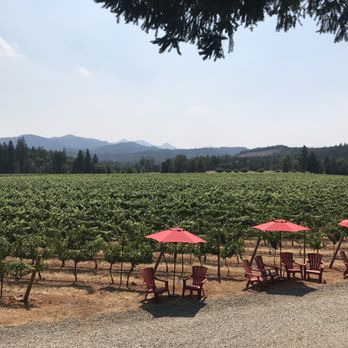 Augustino Estate - rows of red umbrellas in a vineyard - Wine Tasting Room Near Me - O'Brien, Oregon Augustino Estate - rows of red umbrellas in a vineyard - Wine Tasting Room Near Me - O'Brien, Oregon