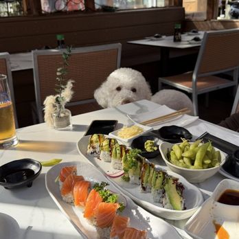 Sushi Sen - Sushi Bars Near Me - Santa Monica, California Sushi Sen - Sushi Bars Near Me - Santa Monica, California