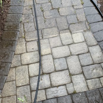 Devil Dog Pressure Washing - Walkway - Pressure Washers Near Me - Front Royal , Virginia Devil Dog Pressure Washing - Walkway - Pressure Washers Near Me - Front Royal , Virginia