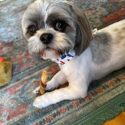 Vip Groomers - Happy and beautiful!