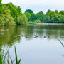 Photo of Harburger Stadtpark