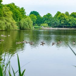 Harburger Stadtpark