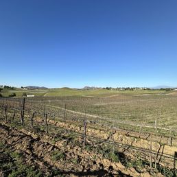 Danza Del Sol vineyards Danza Del Sol vineyards