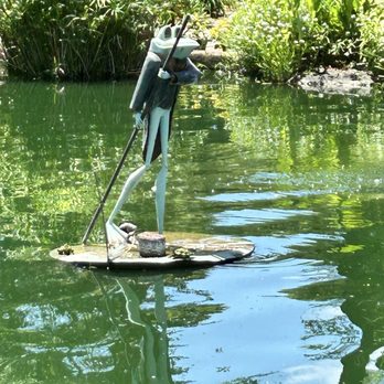 New Hanover County Arboretum - You can see the turtles taking a break on frog lol - Botanical Gardens Near Me - Wilmington, North Carolina