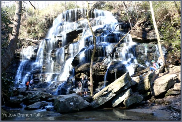 Yellow Branch Falls by null